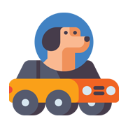 PET IN VEHICLE 